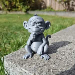 Cheeky Thinking Monkey