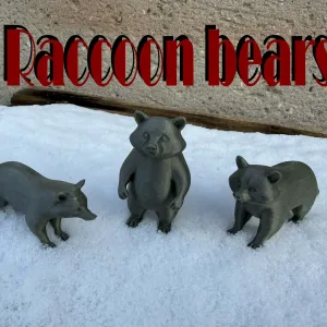 Beautiful Raccoon Bears
