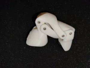 IDP, INDEX FINGER DISTAL PROSTHESIS
