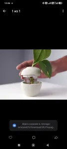Емкость для проращивания растений