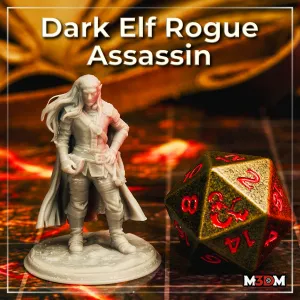 Dark Elf Rogue Assassin