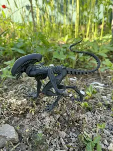 Alien, Xenomorph, monster from space