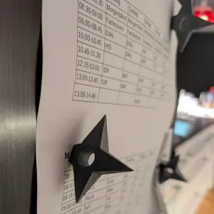 Ninja Star Fridge Magnets