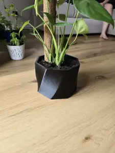 hexagonal twisted flower pot