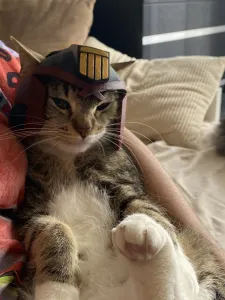 Judge Dredd Cat Helmet – STL + 3MF Multicolor