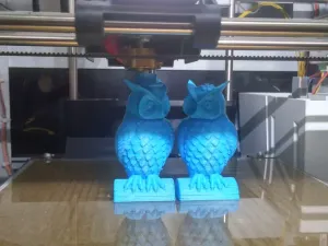 Owl