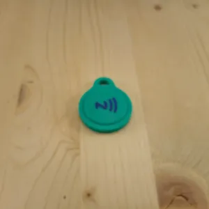 RFID-NFC Keychain / Keyfob