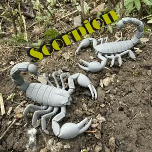 Scorpion, scorpion with claws