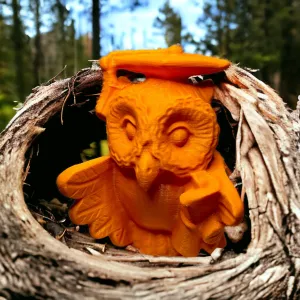 Owl diploma