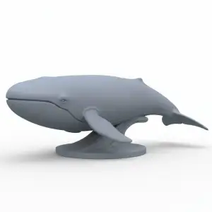 Whale / Wal