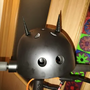 BAT HELMET.