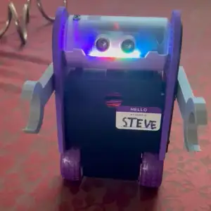 Balance Bot Arms
