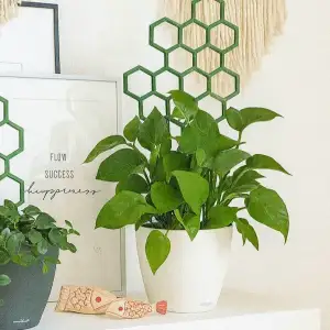 Flower support HEX - MOKA Design