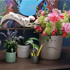 VaseWithFace! #4 Vase with a face!