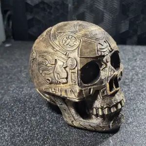 skull