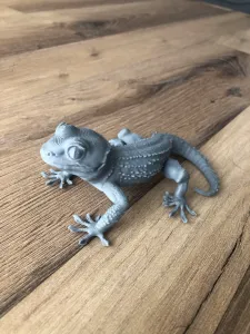 gecko a crête