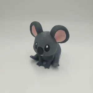 Baby Koala