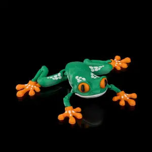 Reed Tree Frog