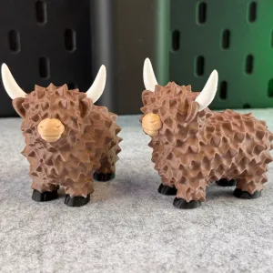 Highland Cow