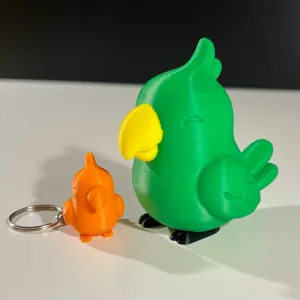 Cute Parrot