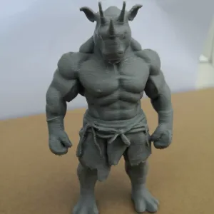 Rhino Chimera