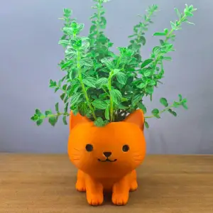Cute Cat Planter_Vase