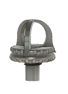 plug coraux grosse bouture