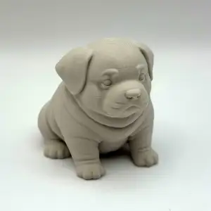 Chubby Puppy