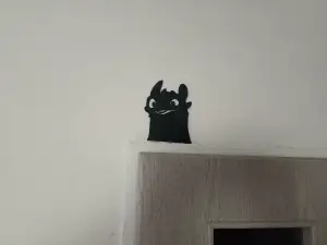 Night Fury Toothless door decor.