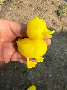 Cute Ducklings