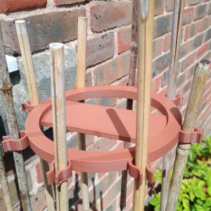 Cane supports for plants