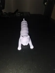 Гибкий кот (flexible cat)