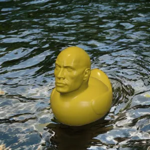 The Rock Duck