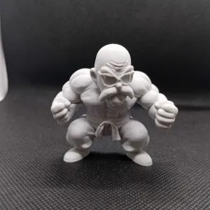 Muten Roshi Goku Grandpa Bodybuilder Dragon Ball