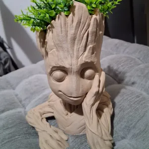 grooth