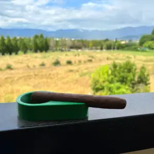 Ashtray with cigar holder