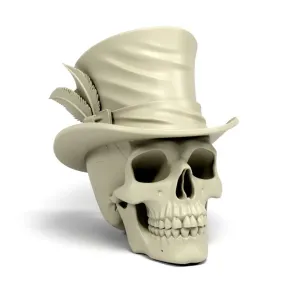 Skull with hat