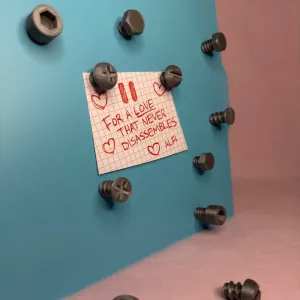 MAGNETIC SCREWS