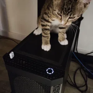 Anti-Cat PC Power Button Guard