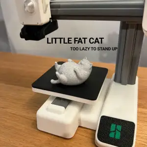 Little Fat Cat