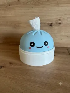 Caja de pañuelos de dumpling