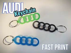 Audi Keychain