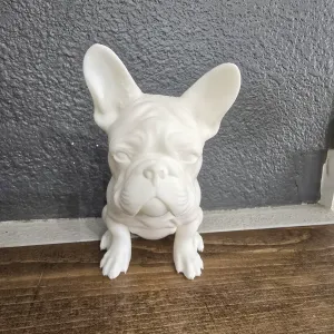 frenchie bulldog