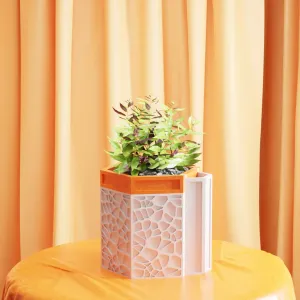 Self Watering Planter