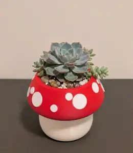 Mushroom Pot