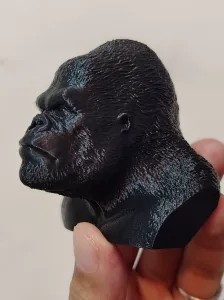 King Kong' bust