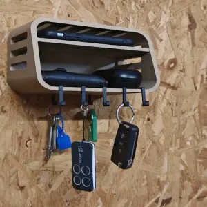 Wall organiser with hooks