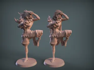 female fighter two versions