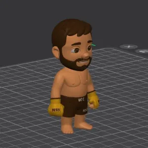 Lil UFC guy