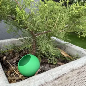 Self Watering Globes for Plants